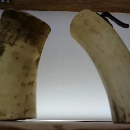 El Parreiro Vut-le-1607 * Villablino