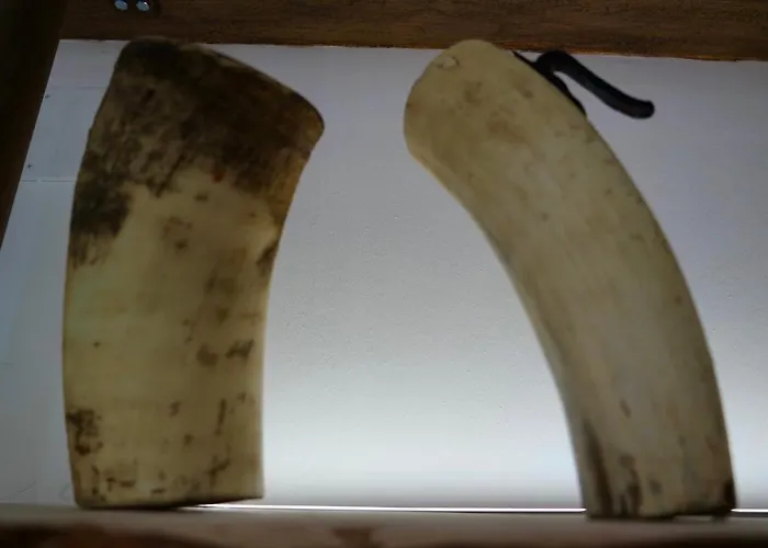 El Parreiro Vut-le-1607 * Villablino